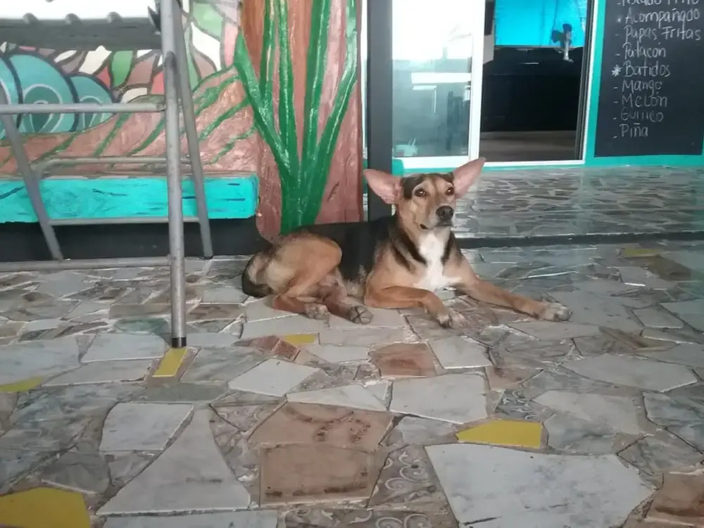Hostal Portobelo