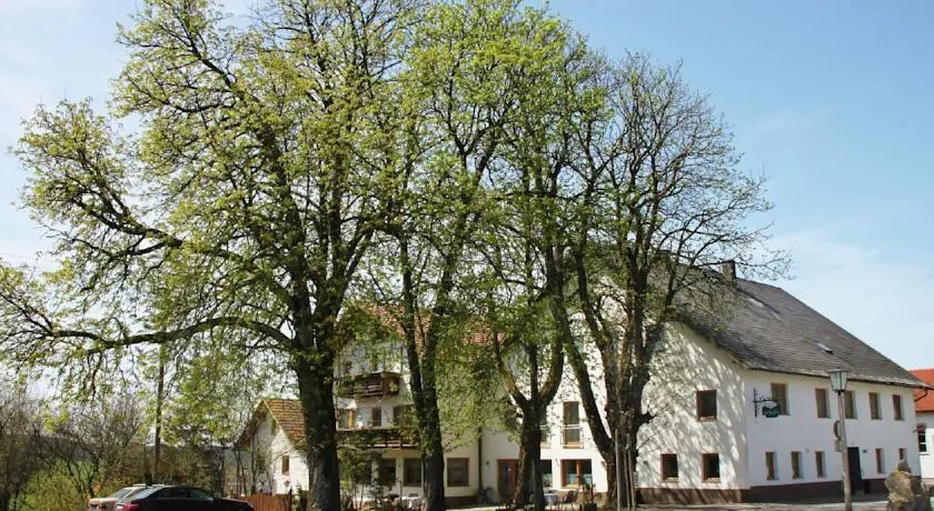 Gasthof-Pension Zum Haugstein - Familie Eder