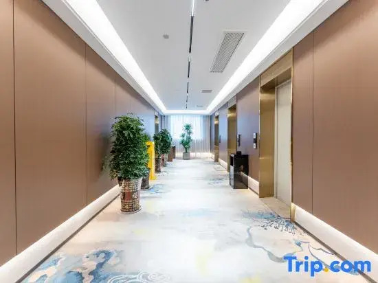 Zhongyi Holiday Hotel (Xiangyang Greenland Central Plaza)