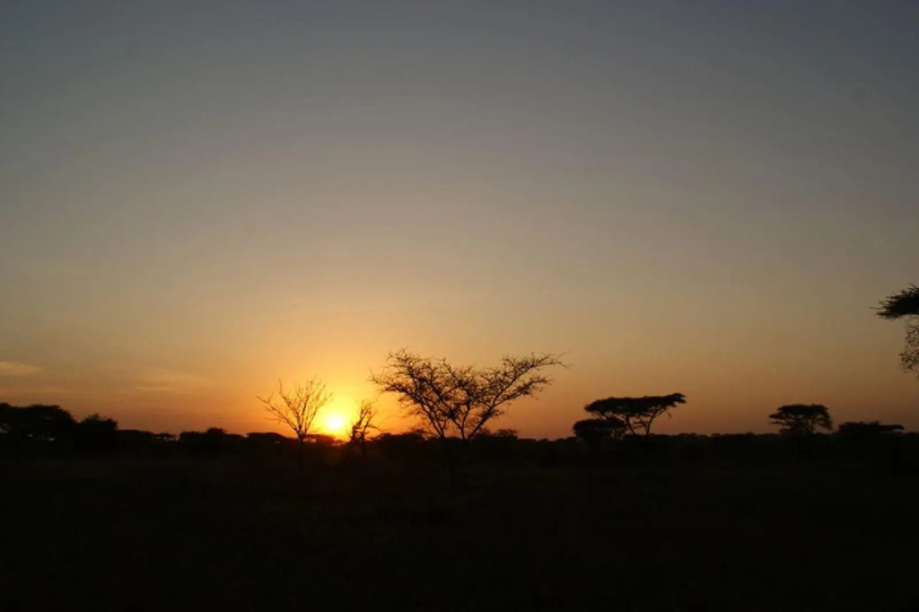 Ikoma tented Camp