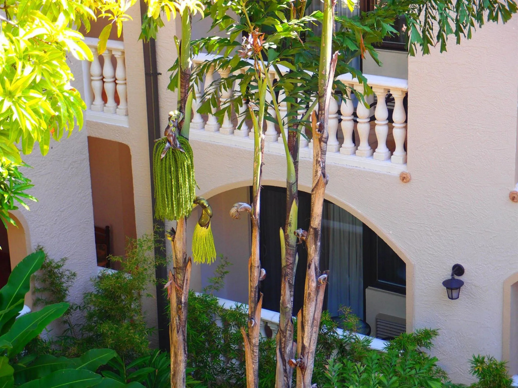 Hotel Villa Therese