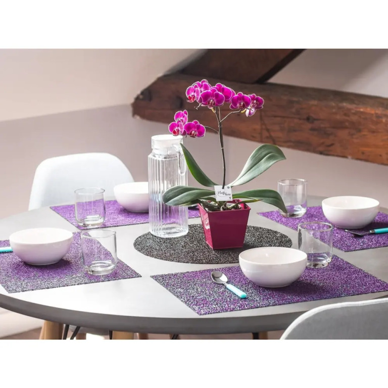 Appartements Les Orchidées Portail Louis Saumur