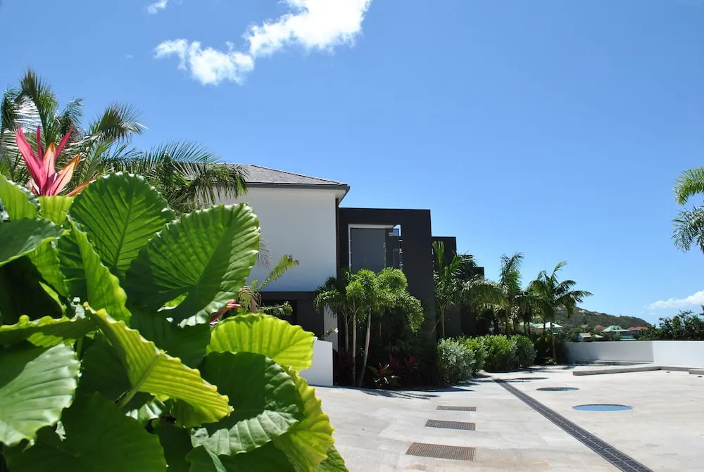 Reve de Saint Barth
