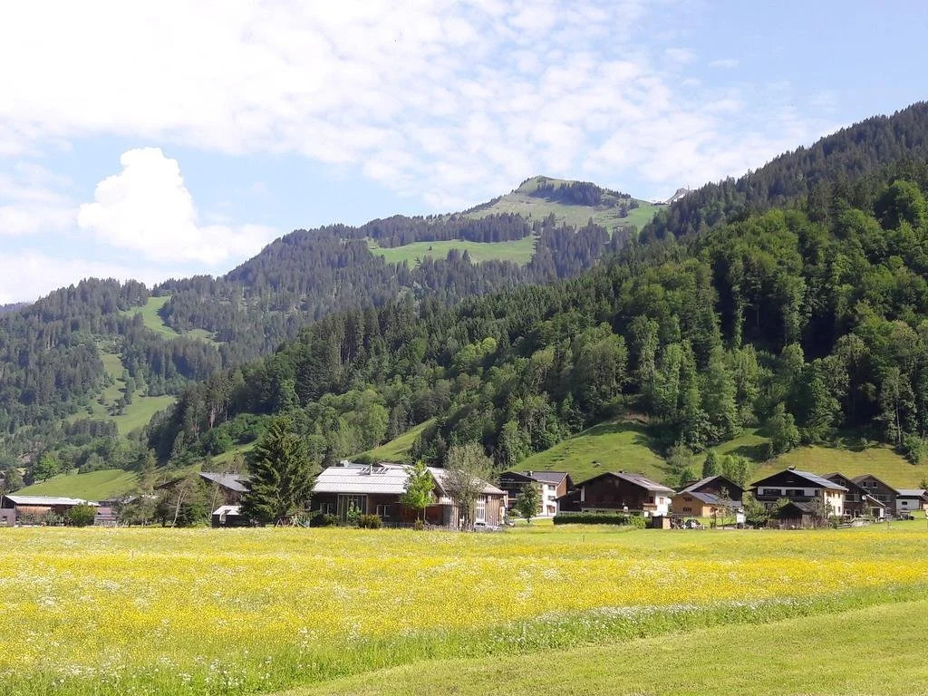 Haus Diedams