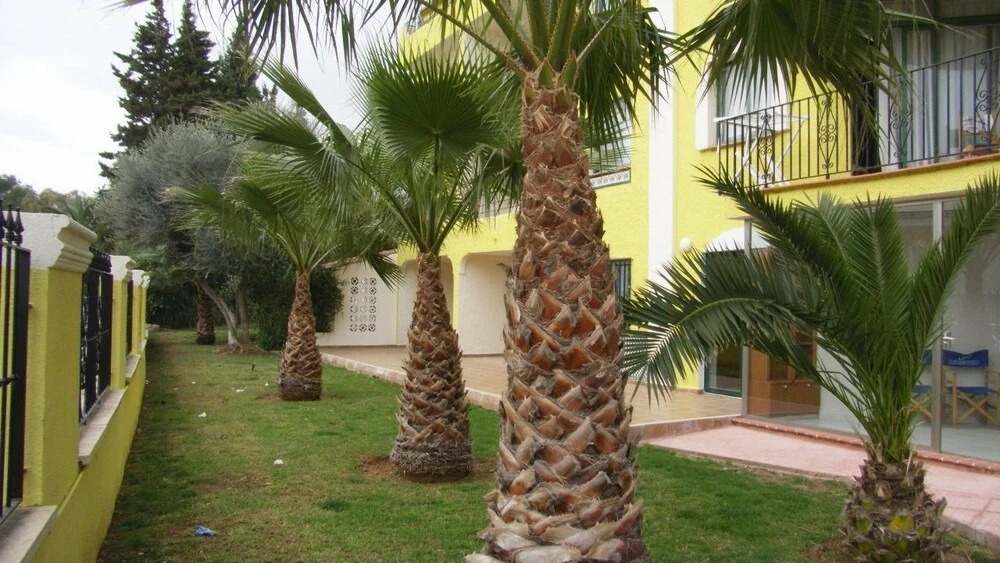 Marineu Sol y Mar Dúplex