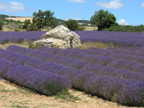 Résidence de gîtes La Sidoine du Mont-Ventoux