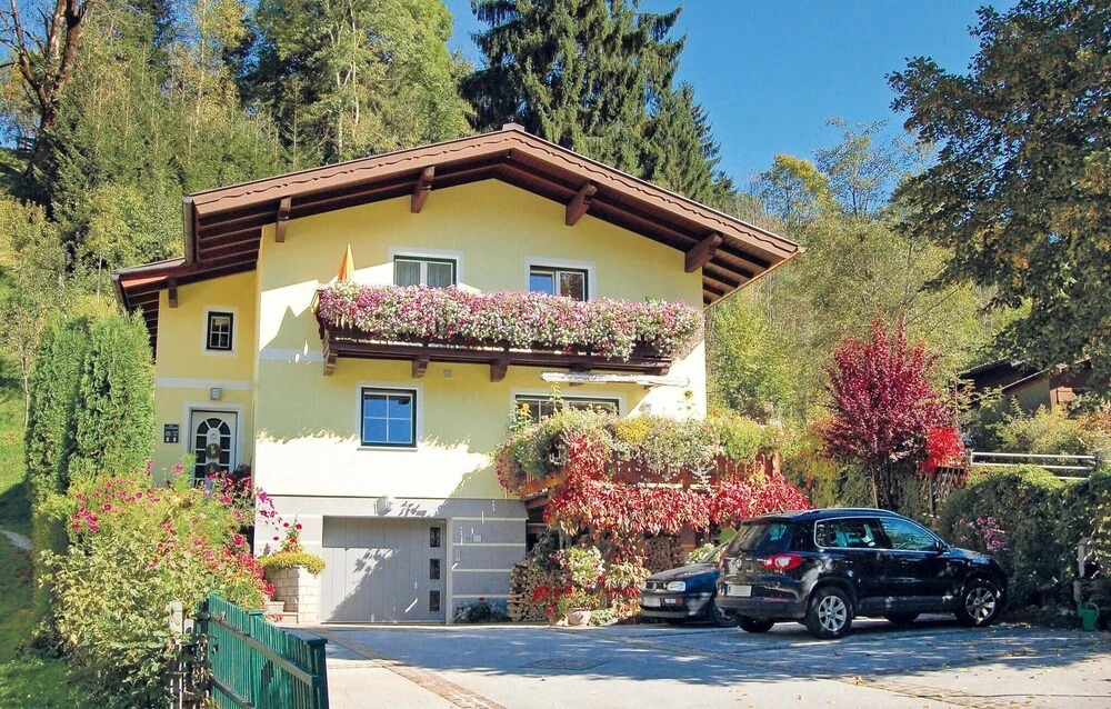 Amazing Apartment in Wagrain With 1 Bedrooms and Wifi