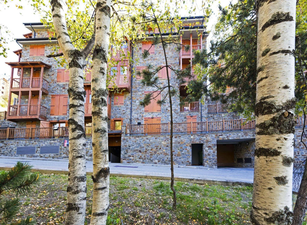 La Pleta de Soldeu Apartments