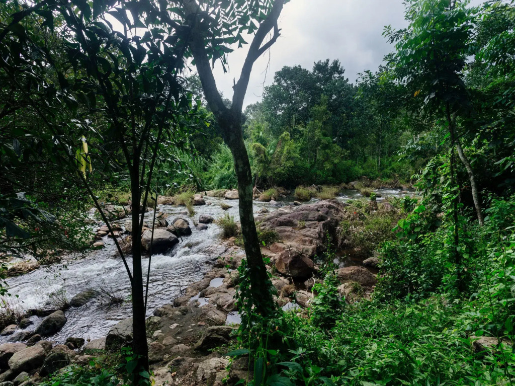 OYO 9725 Hotel Misty River