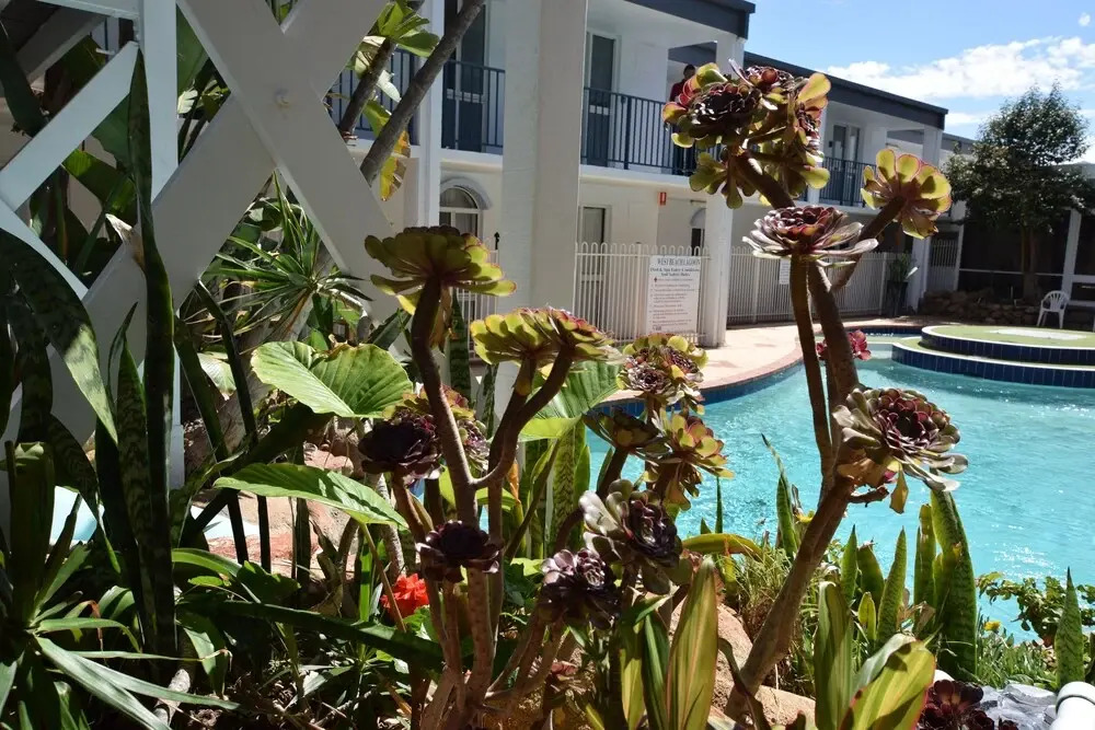 West Beach Lagoon 211 – Great Views