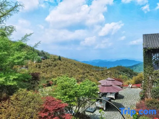 Moganshan·Original Jie Mountain Viewing Sea of Clouds B&B