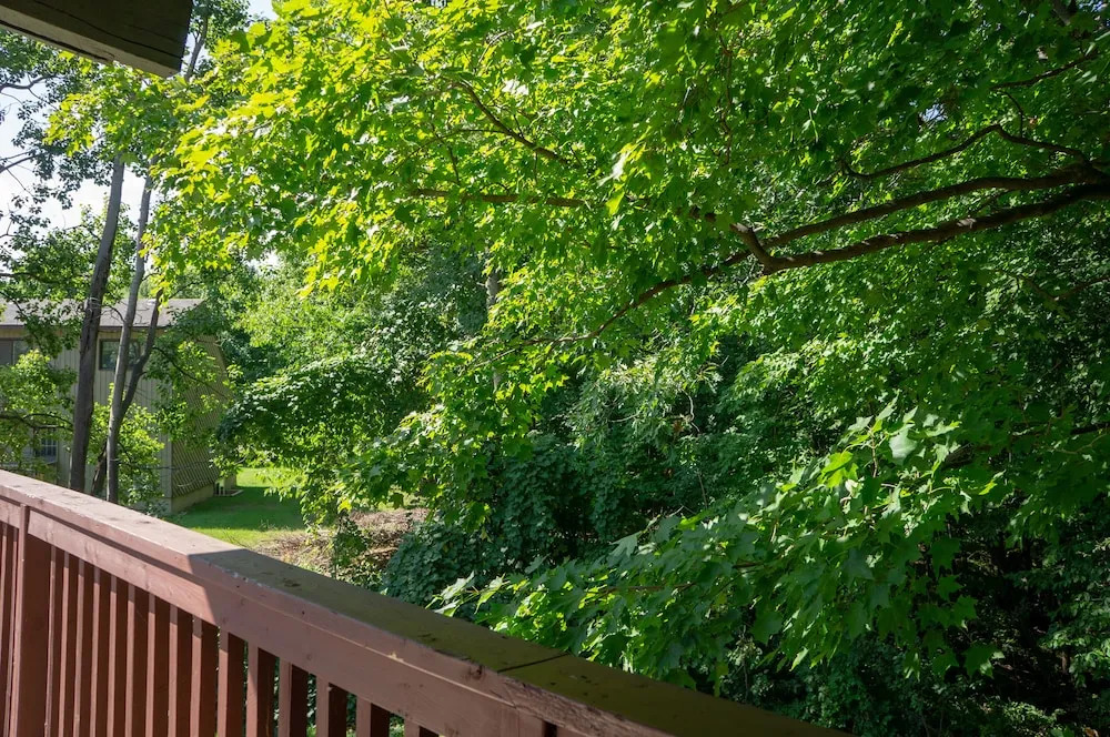 Gateside Chalets Expansive 6 Bedroom Hot Tub Near Village Blue Mountain