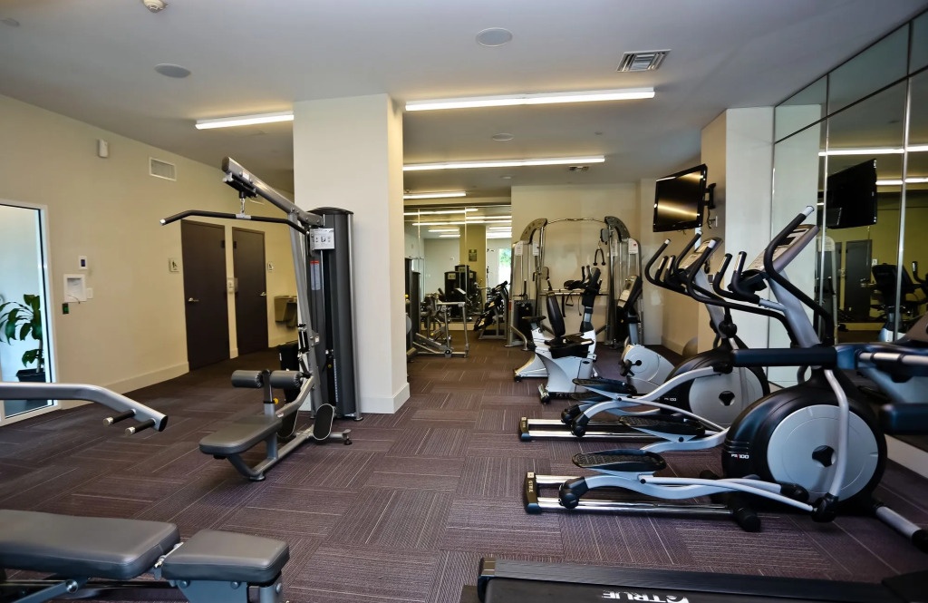 Nuovo Properties at Brickell 1st
