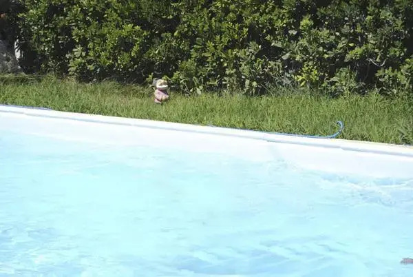 Le Tre Sirene