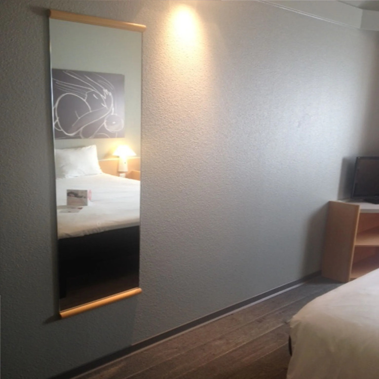 ibis Orange Sud