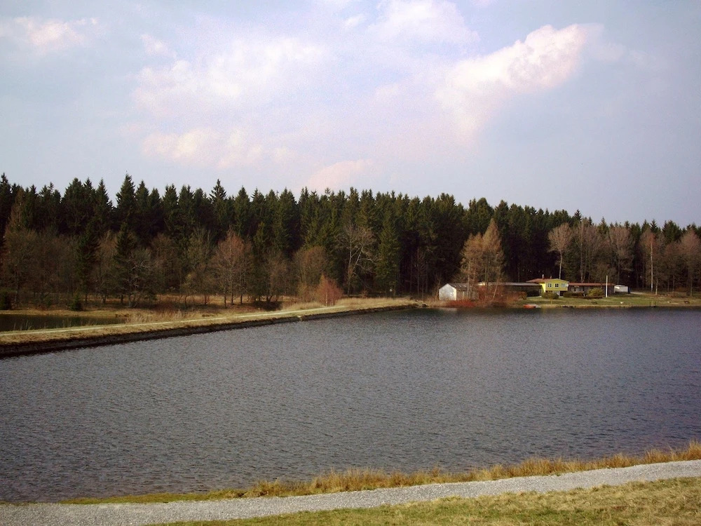 Wooden chalet with oven, in Oberharz near a lake