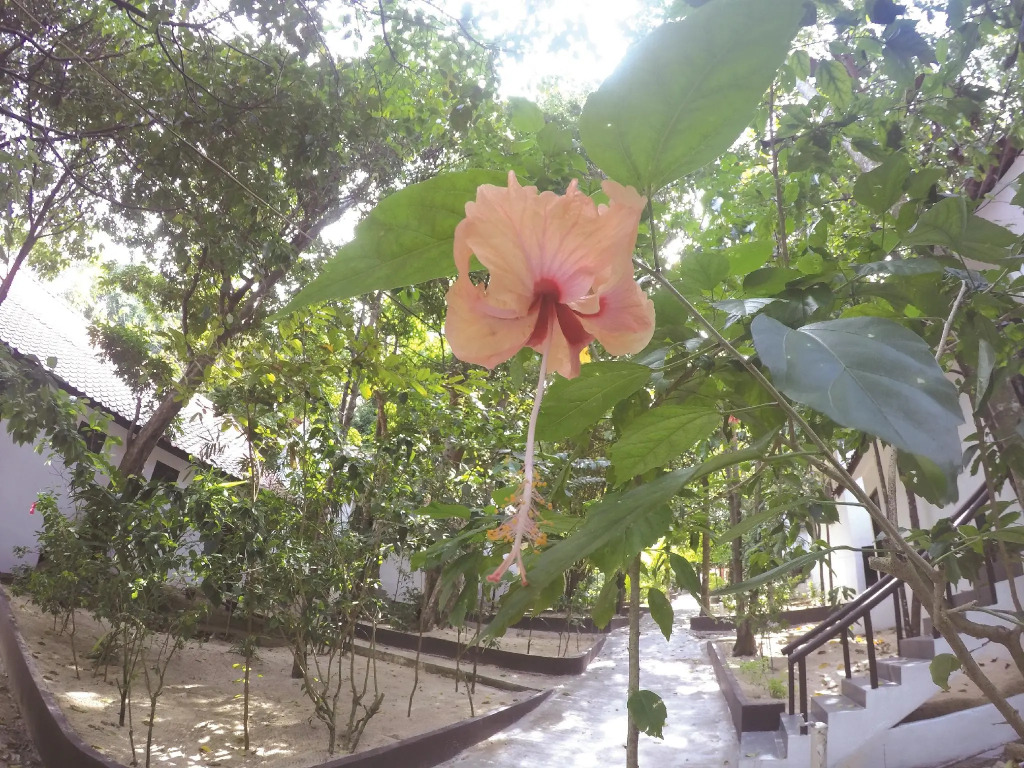 Perhentian Tivoli Inn