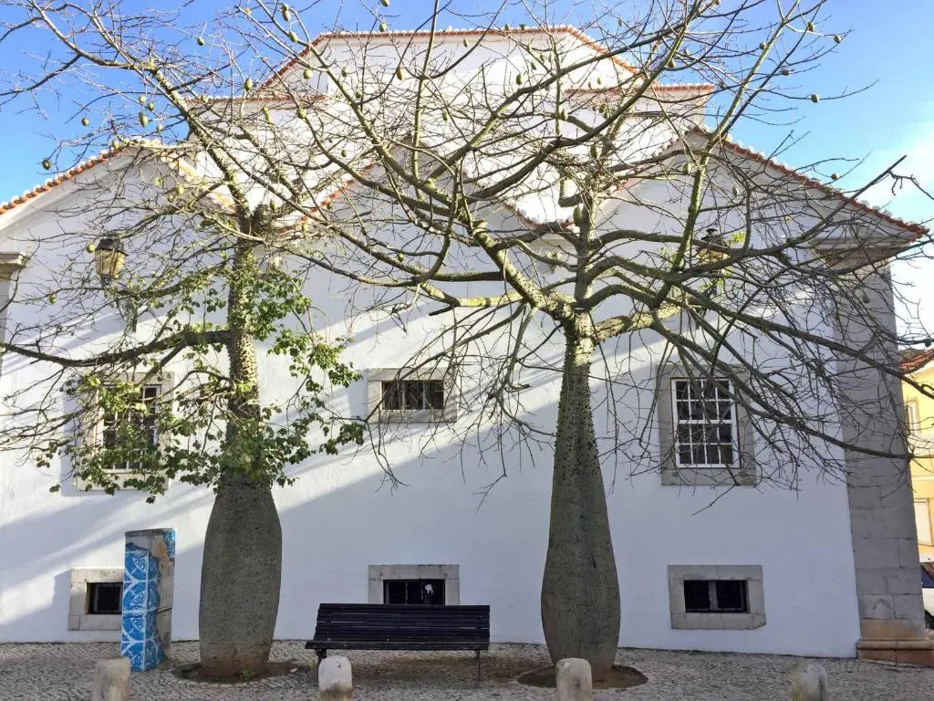 Cascais 4 You