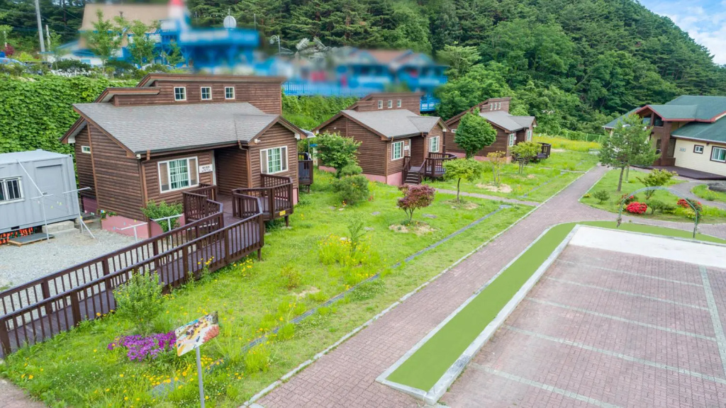 Gangneung Yasaenghwa Maeul
