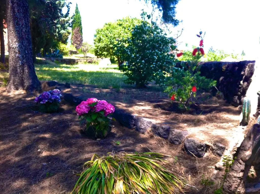 Villa Bonaccorso - antica e maestosa villa con piscina ai piedi dellEtna