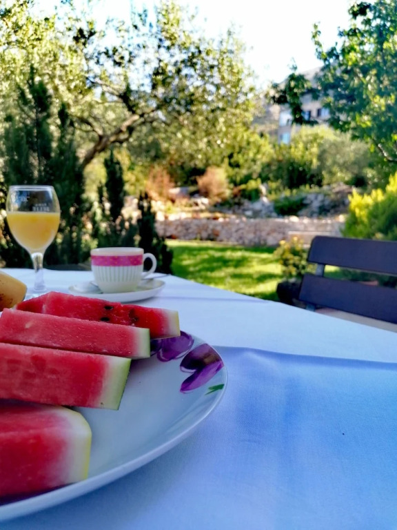 Guesthouse Oliva
