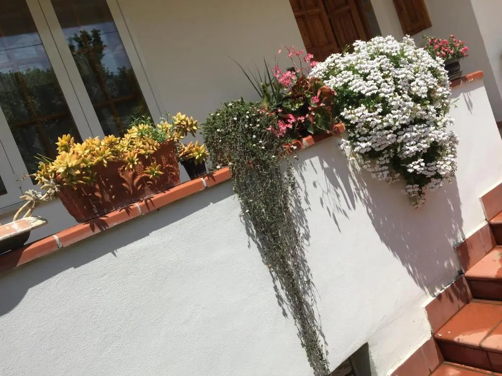 Secret pearl! Amalfi Coast, Pompei & Naples Free parking