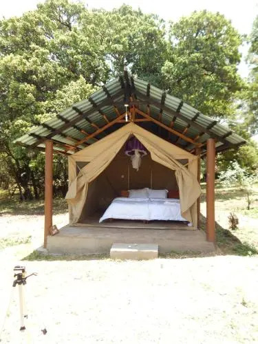 Masaimara Springs Camp