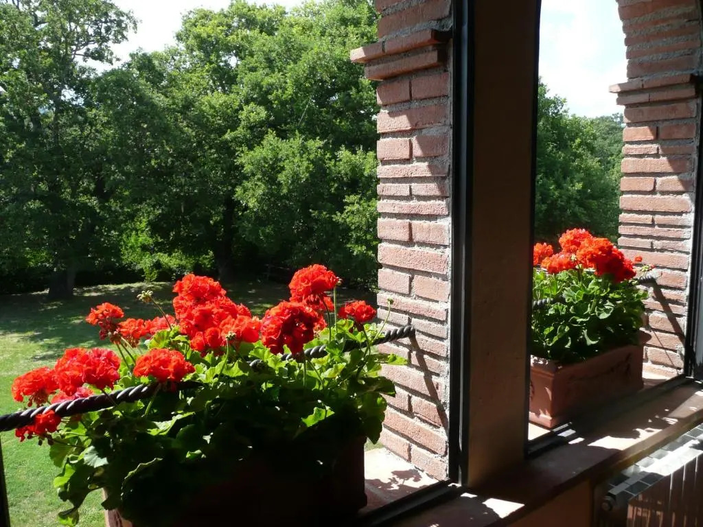 Agriturismo Colli di Travale