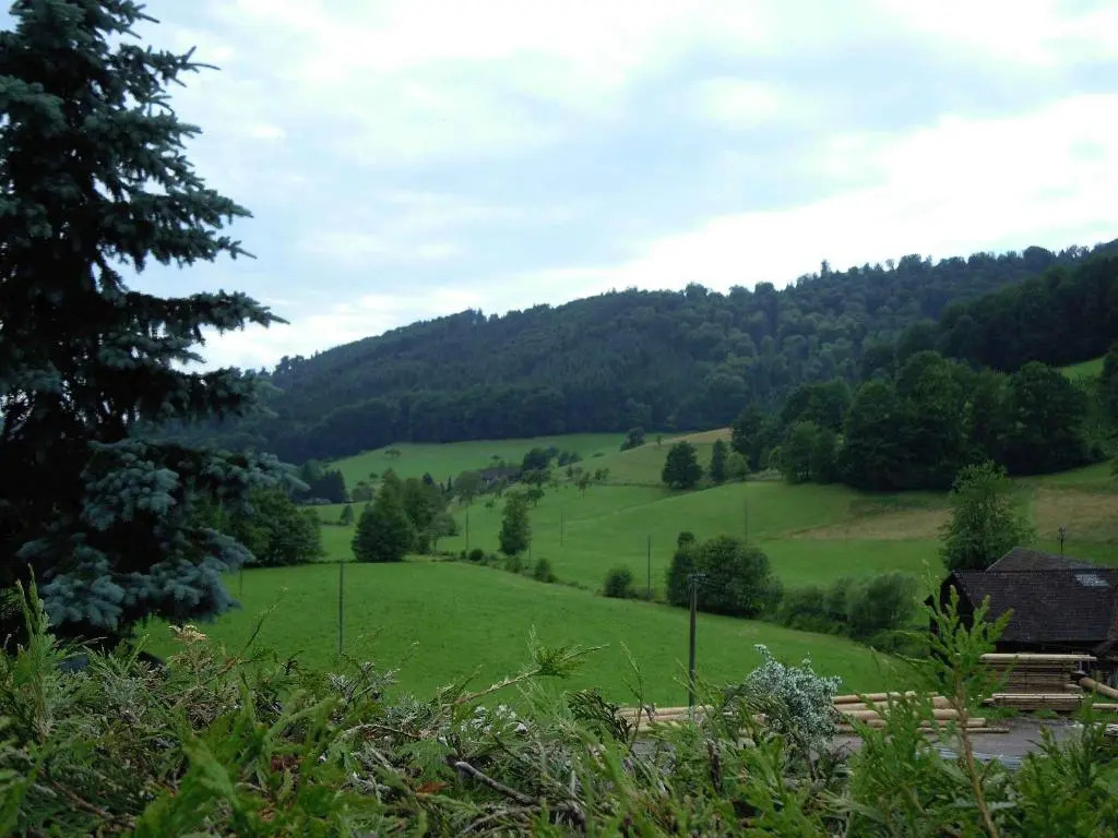Zipperhof