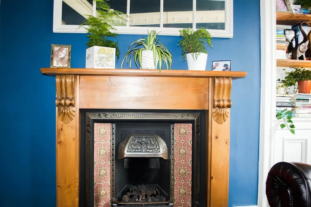 Bright Flat in Edinburgh With Private Garden