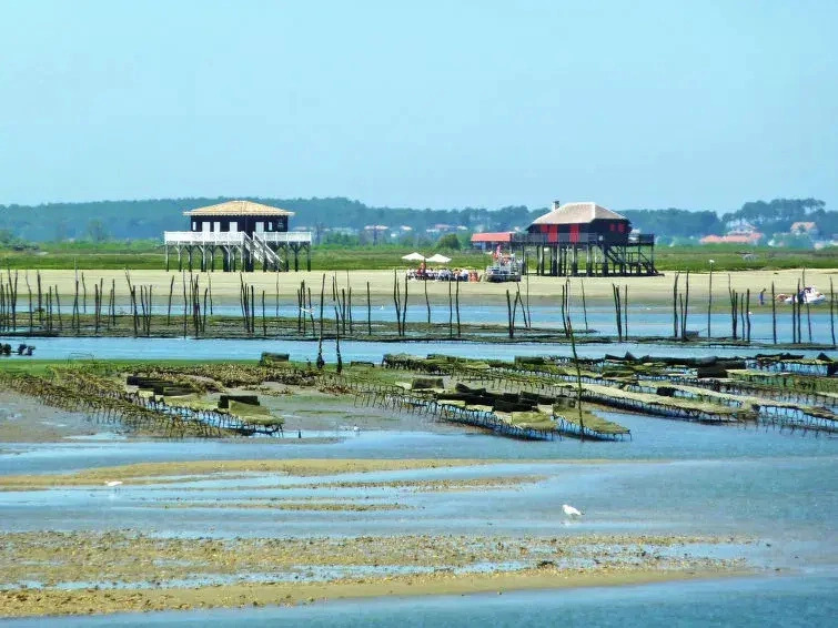 Apartment Mer et Sud