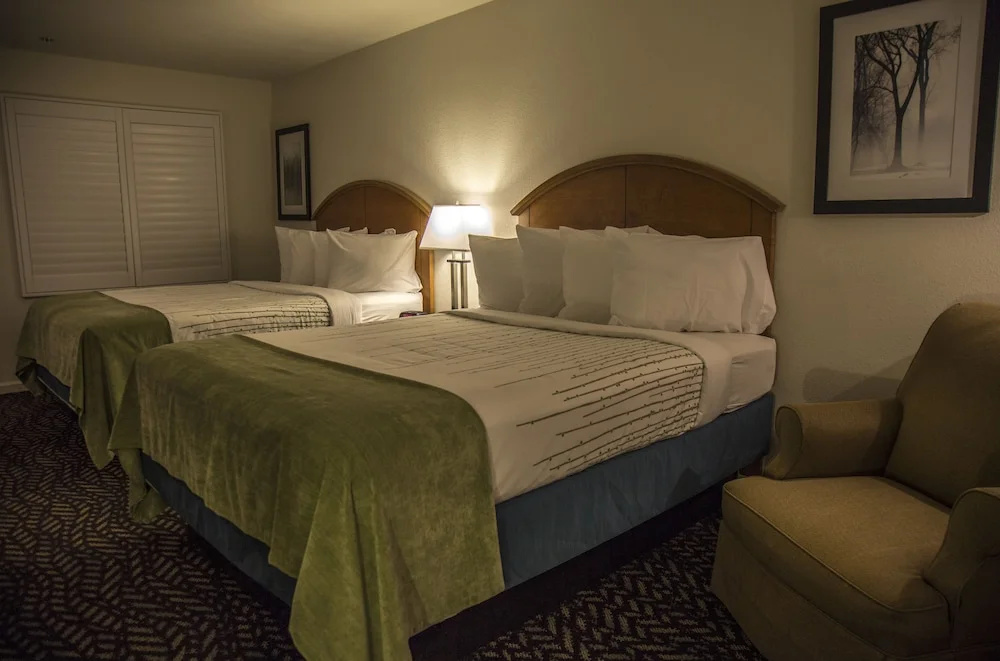 Delta Resort and Spa