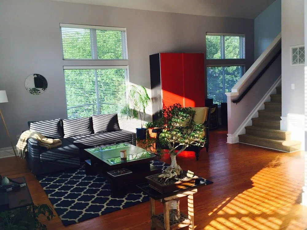 Contemporary Open Loft