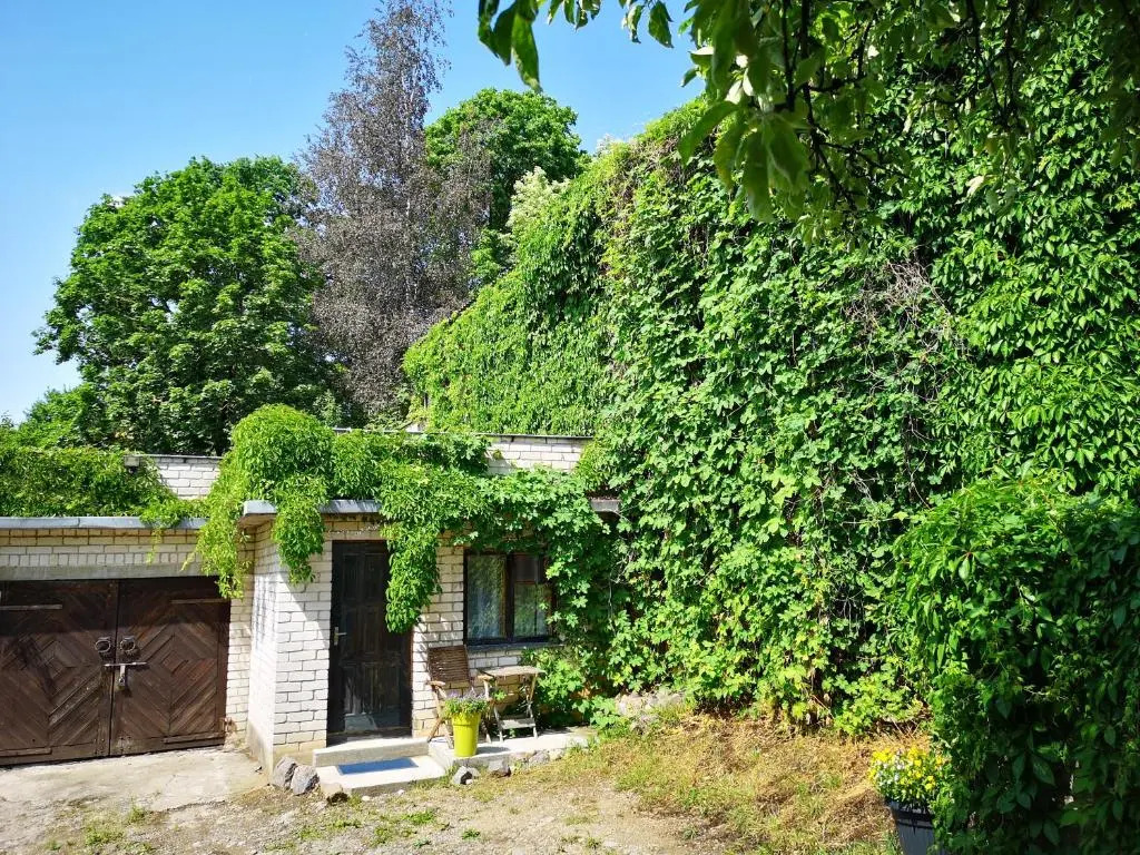 Little house