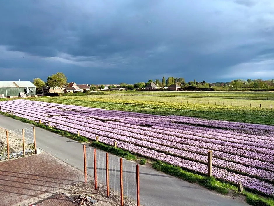 Tulpenhoek