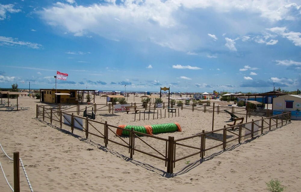 Nice Apartment in Rosolina Mare With 1 Bedrooms and Outdoor Swimming Pool