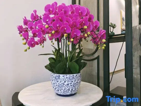 Mulan Qihu Homestay
