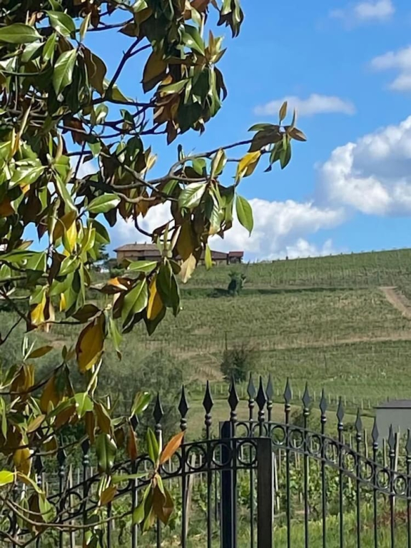 Piemonte Country House, Public pool is 3 min away
