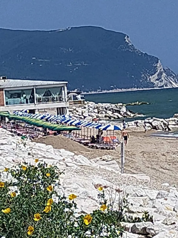 stella marina