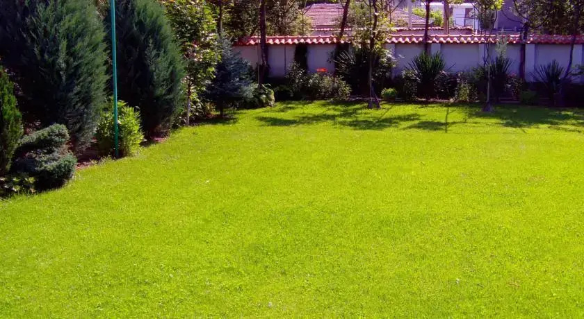 Kalina Guest House