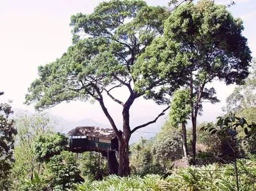 House Of Munnar