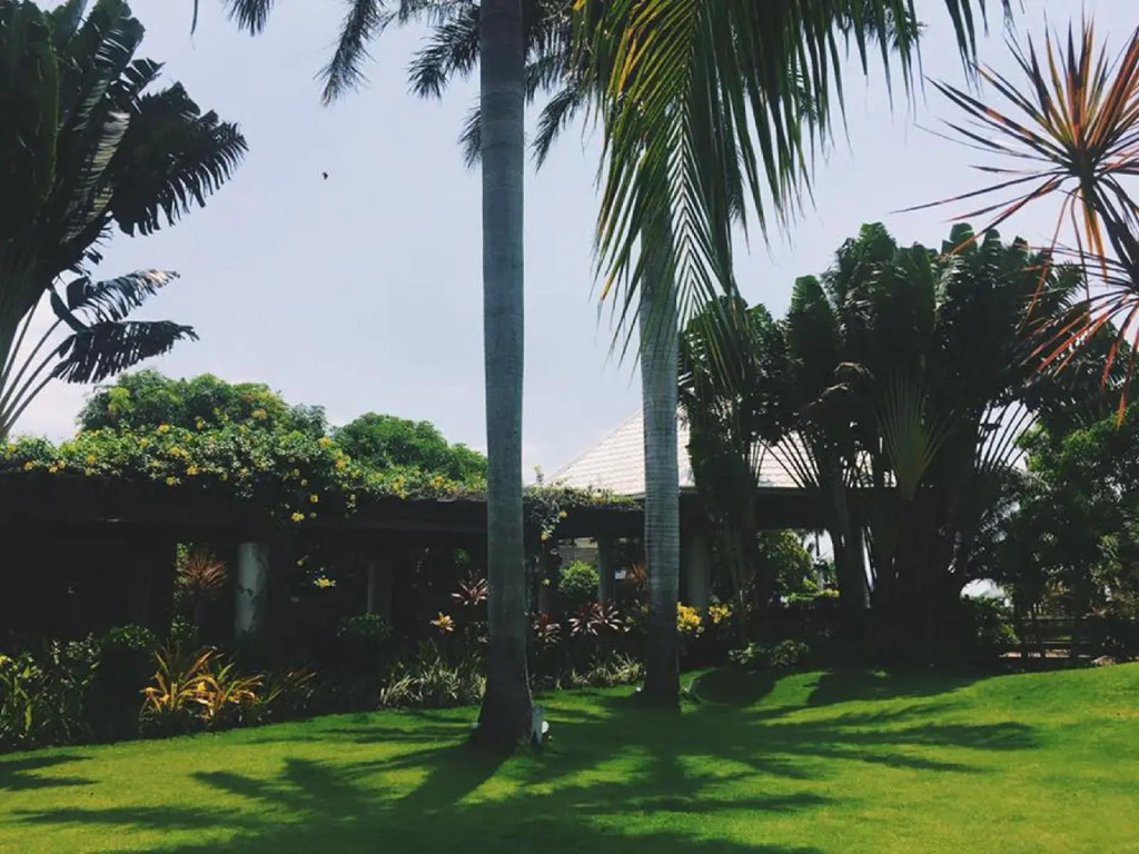 Mount Sea Resort