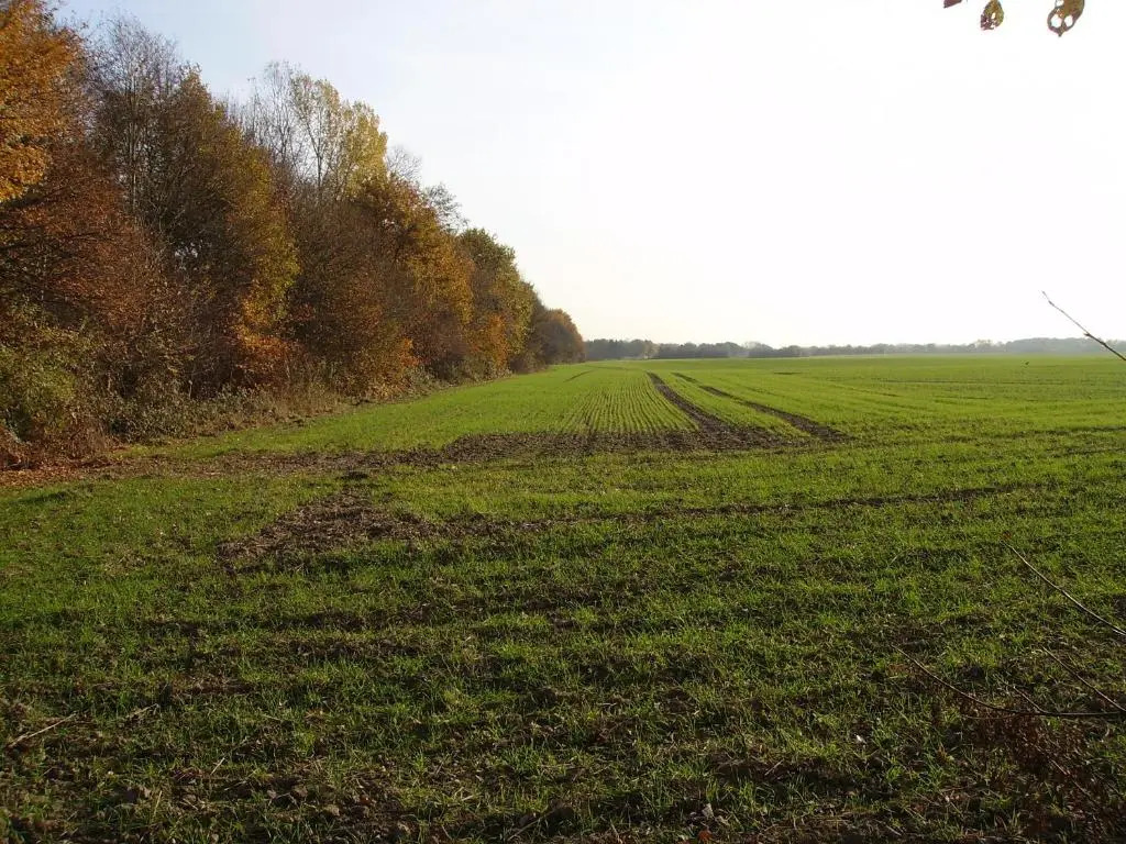 Villa Donar