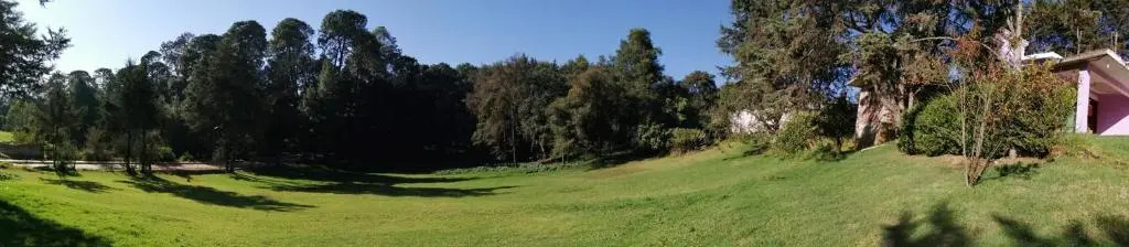 Hotel Bosques