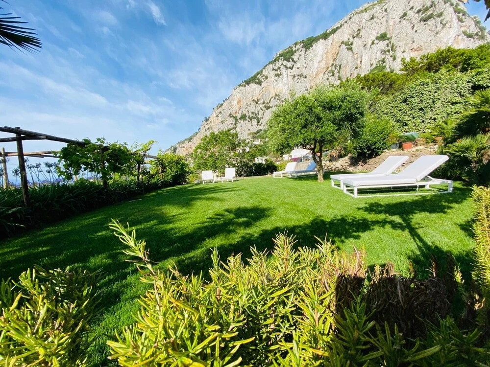Suite Garden