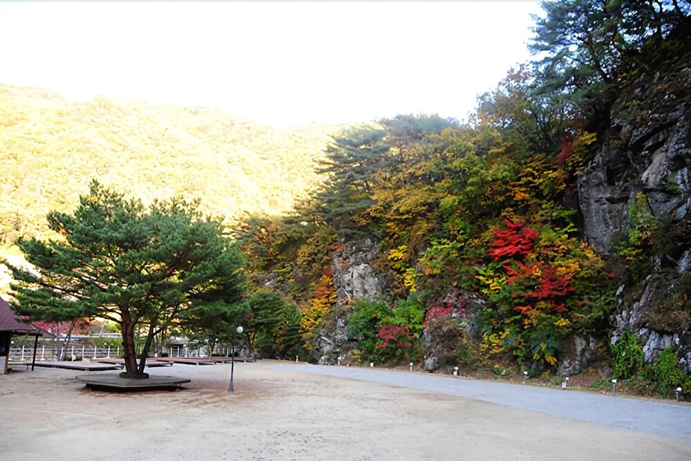 Gapyeon Nest Pension