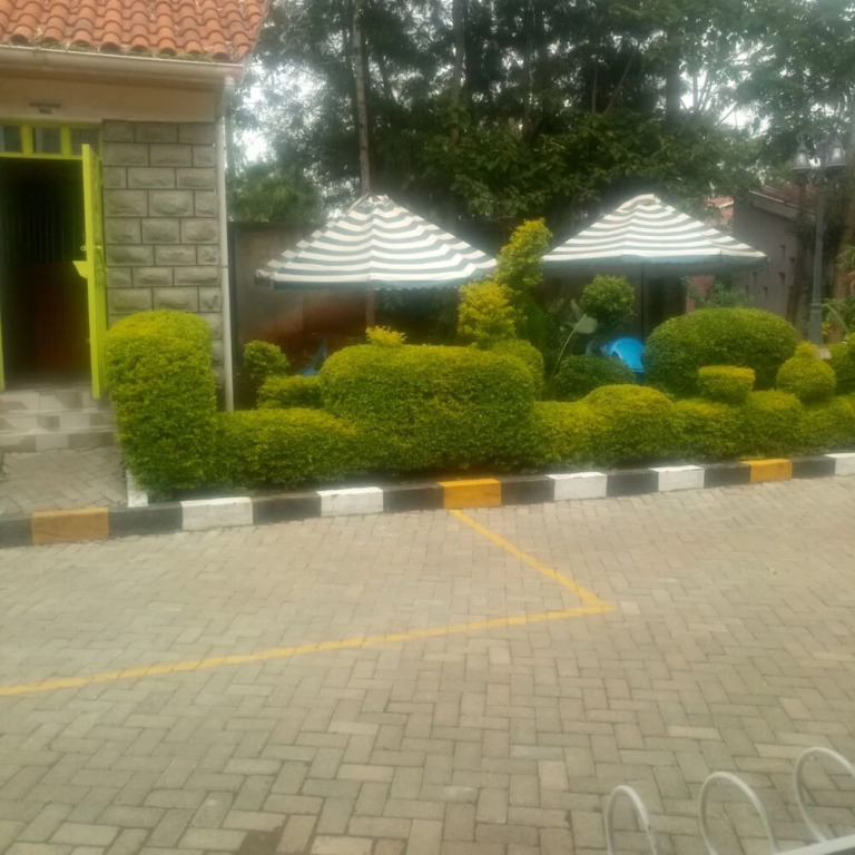 Impala Guest House