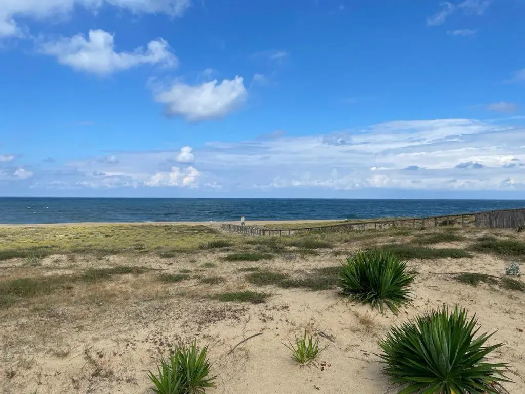 Appartement HOSSEGOR plage SUD Classé 3 étoiles