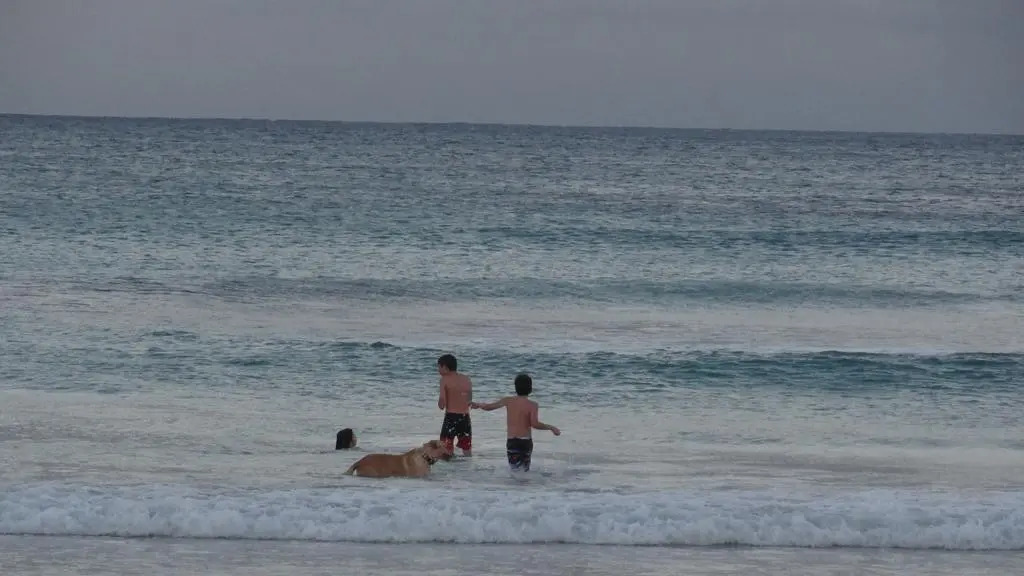 Pringle Beach House