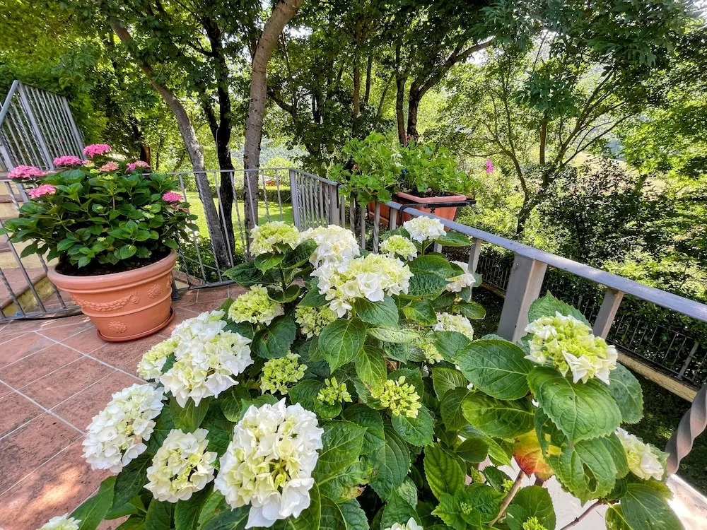 Vicolo - sleeps 5 with air con, wifi, balcony for dining and pool